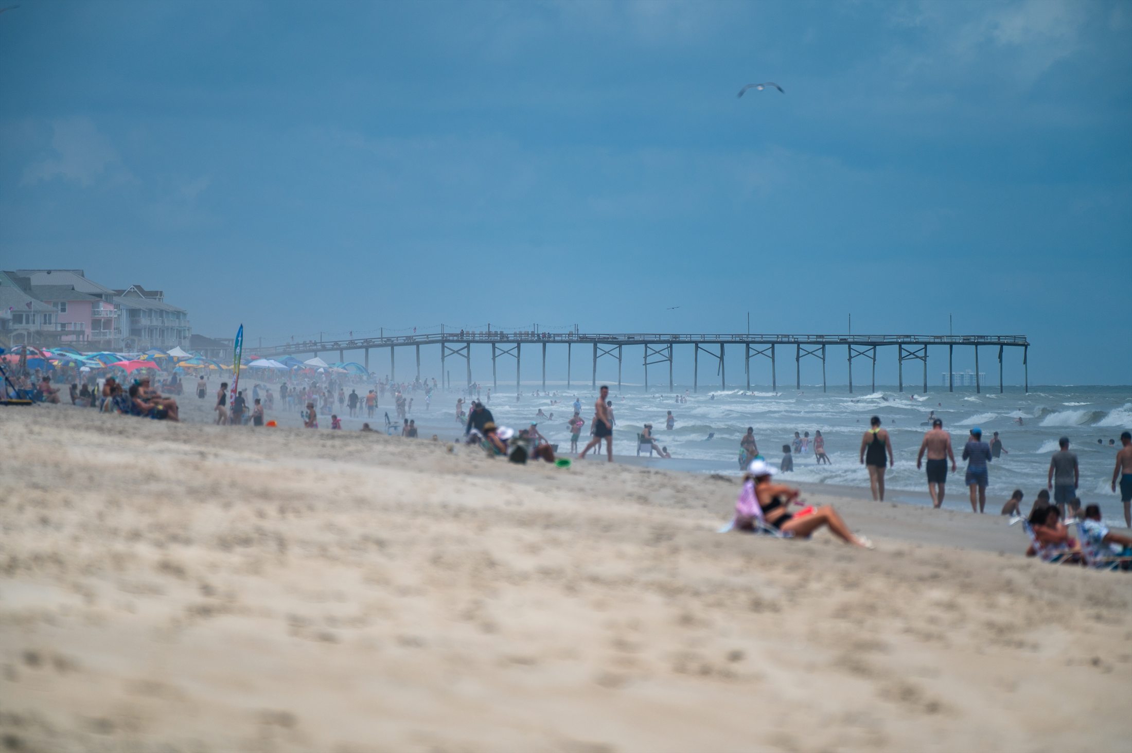 Carolina Beach photo 8