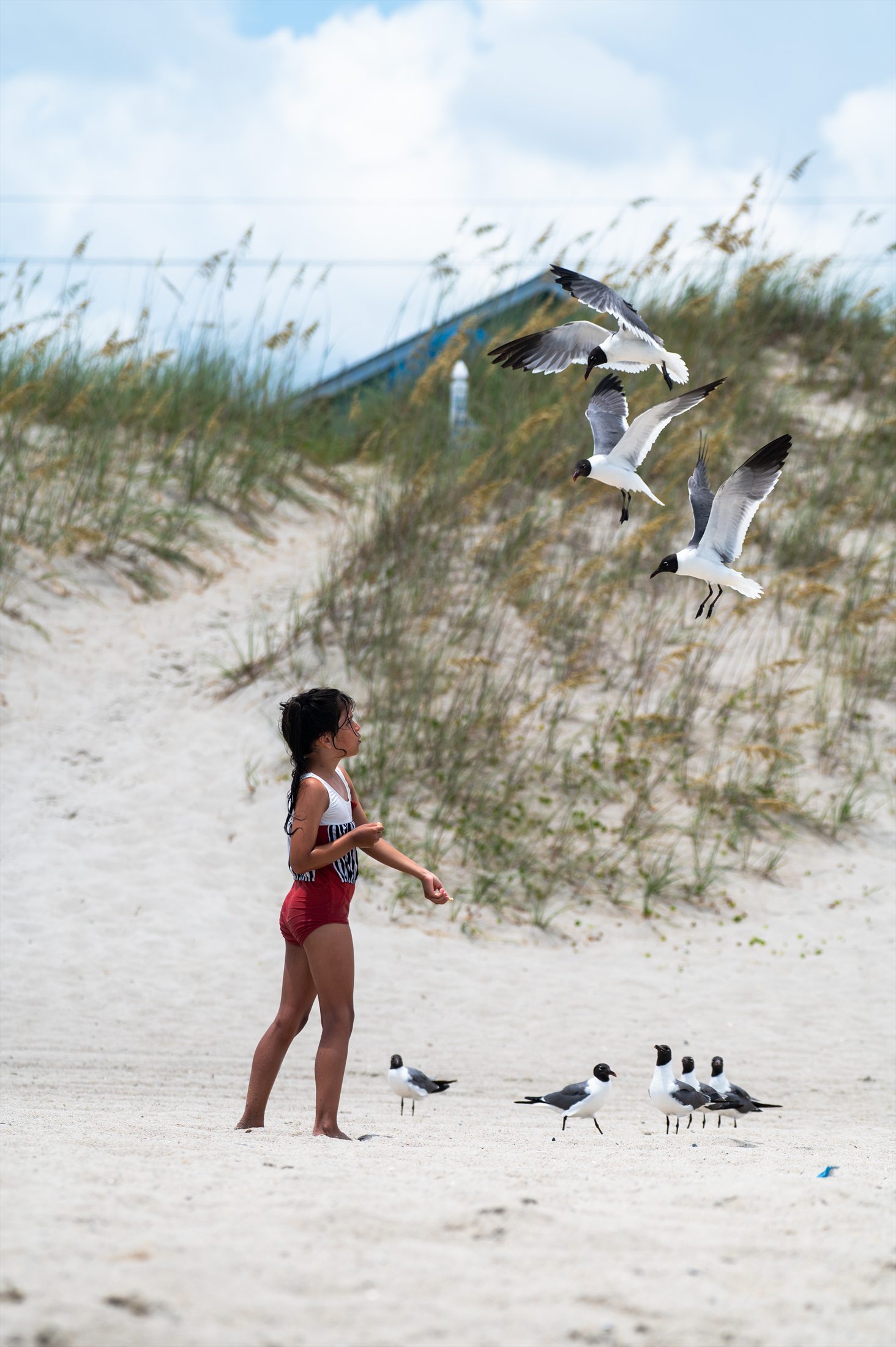 Carolina Beach photo 11