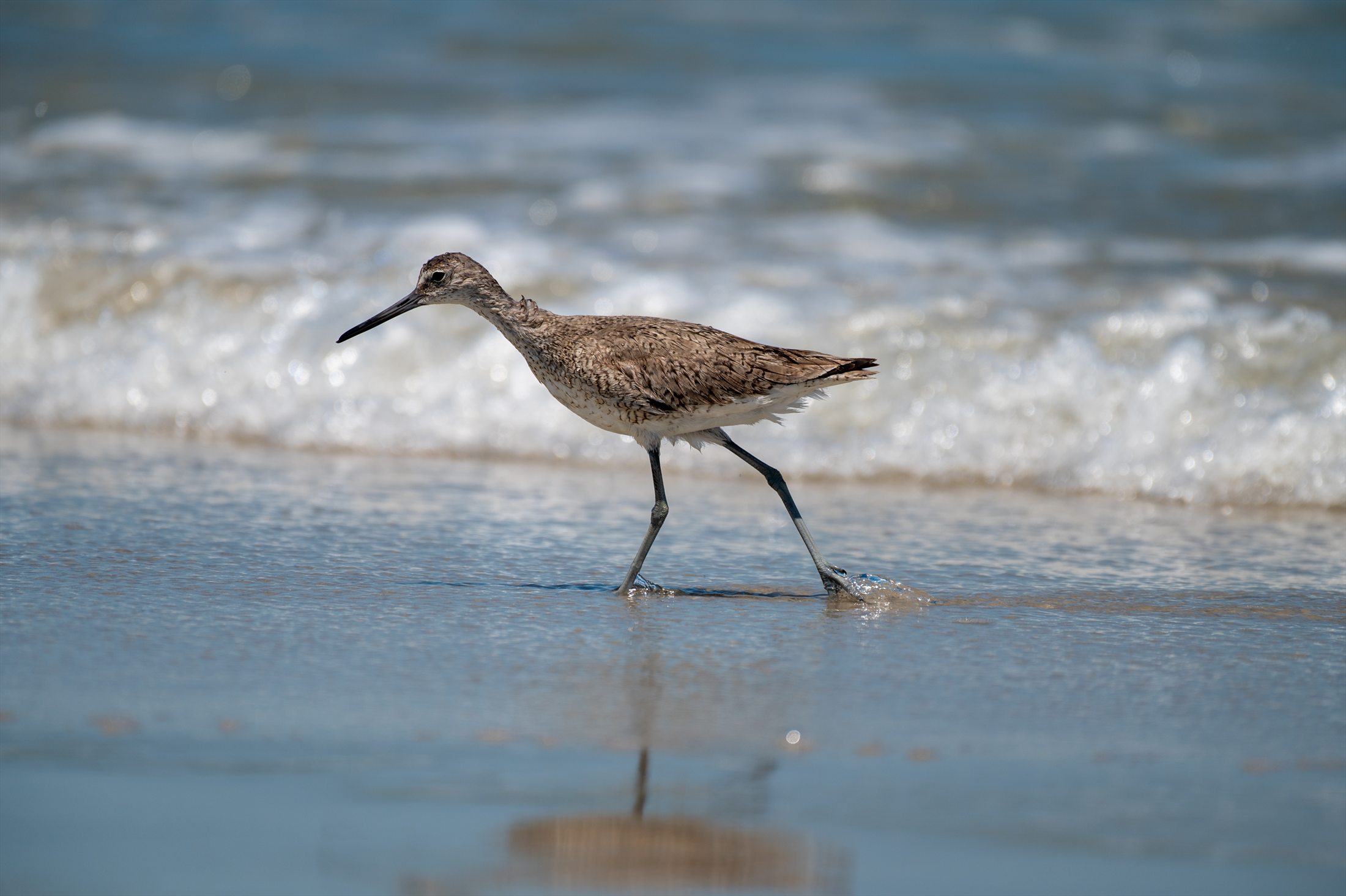 Carolina Beach photo 17