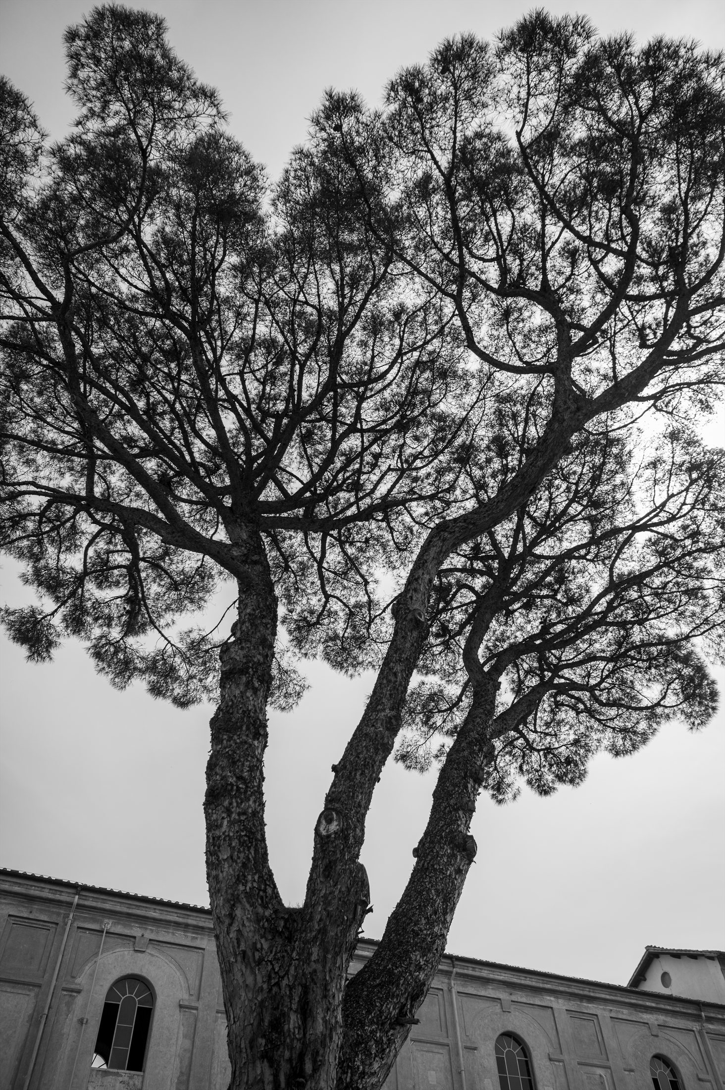 Italy B&W photo 11