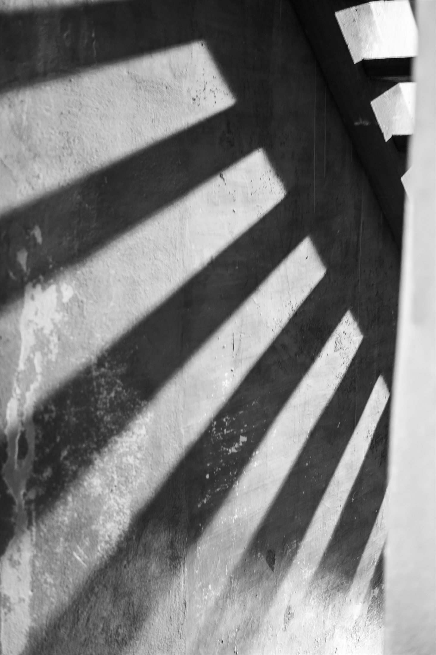 Italy B&W photo 25