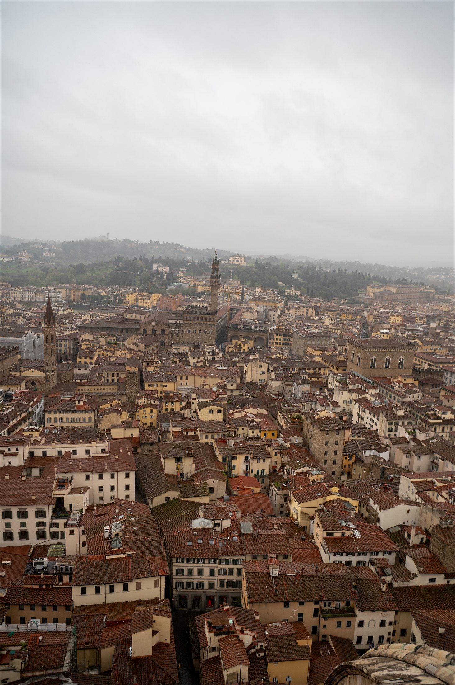 Florence photo 4