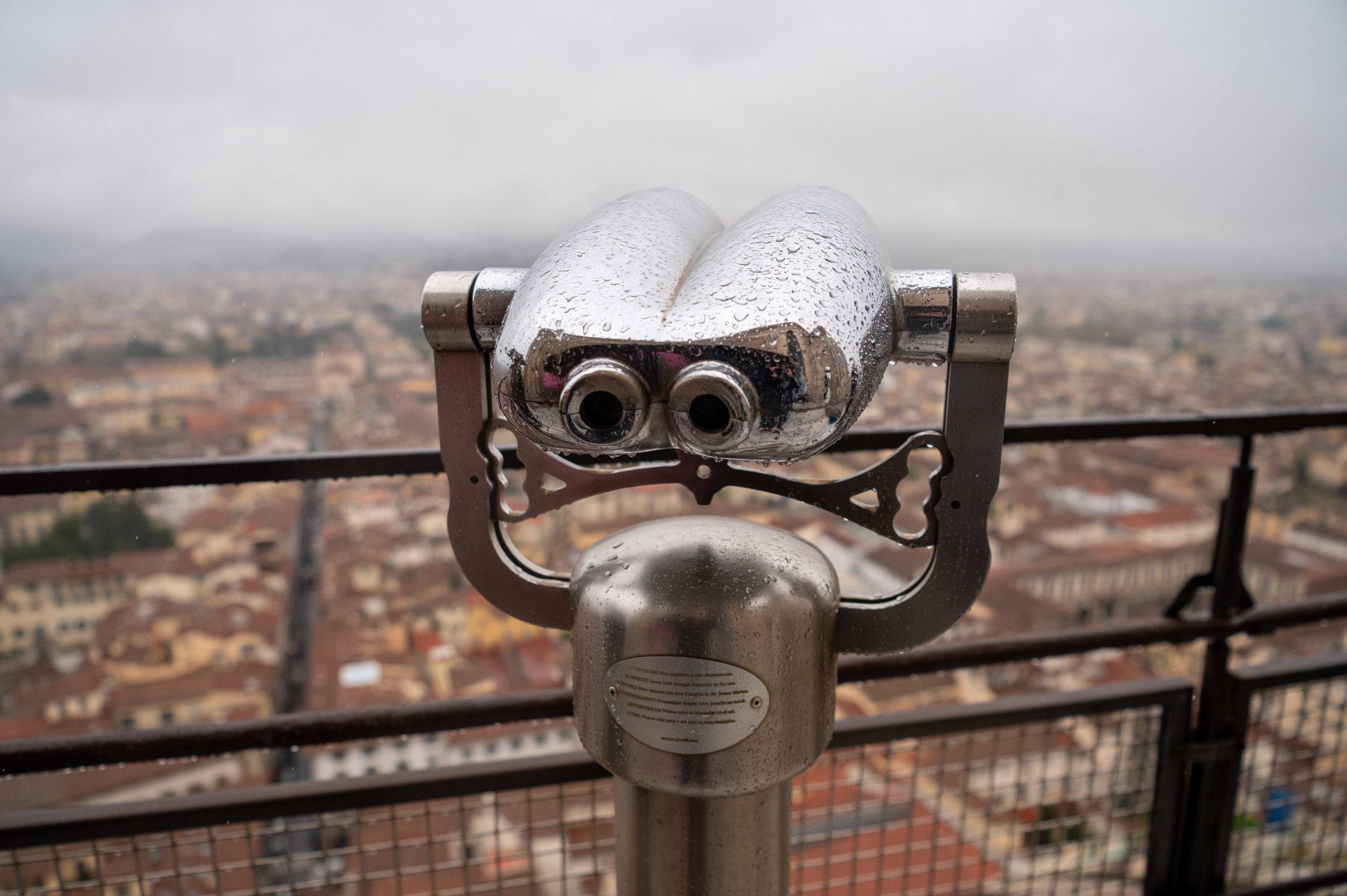 Florence photo 5