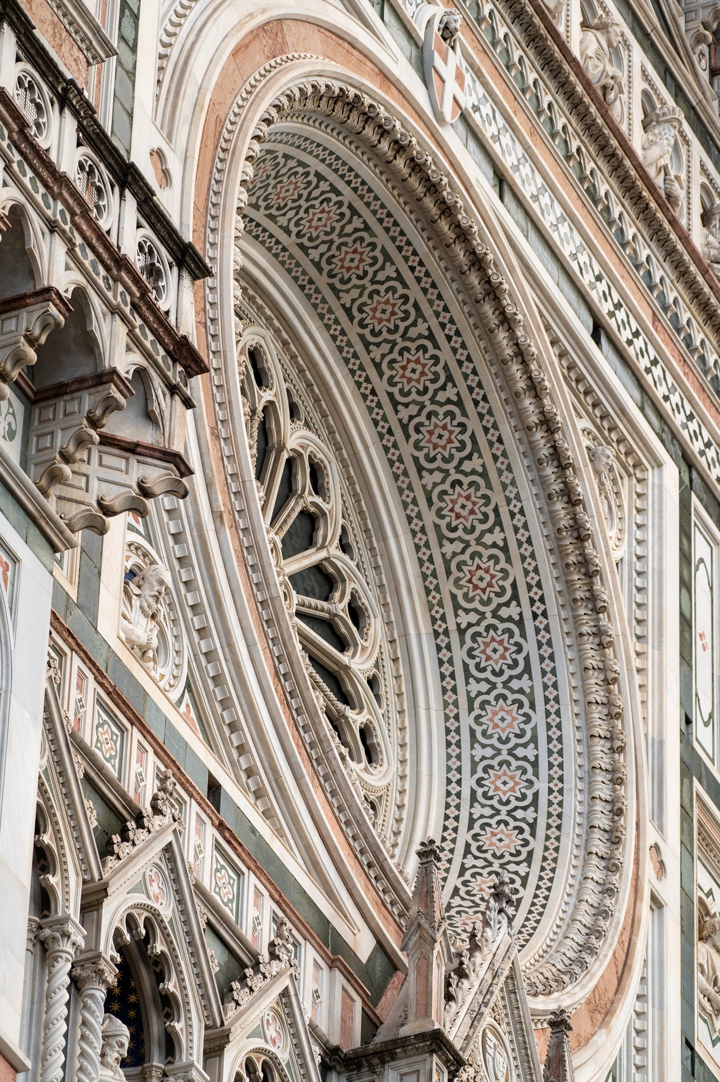Florence photo 10