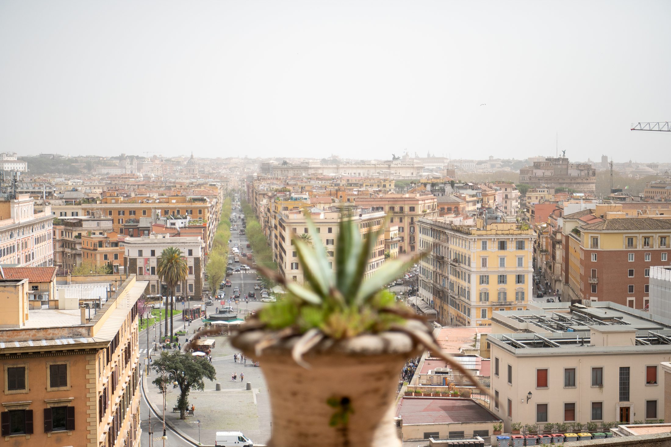 Rome photo 10