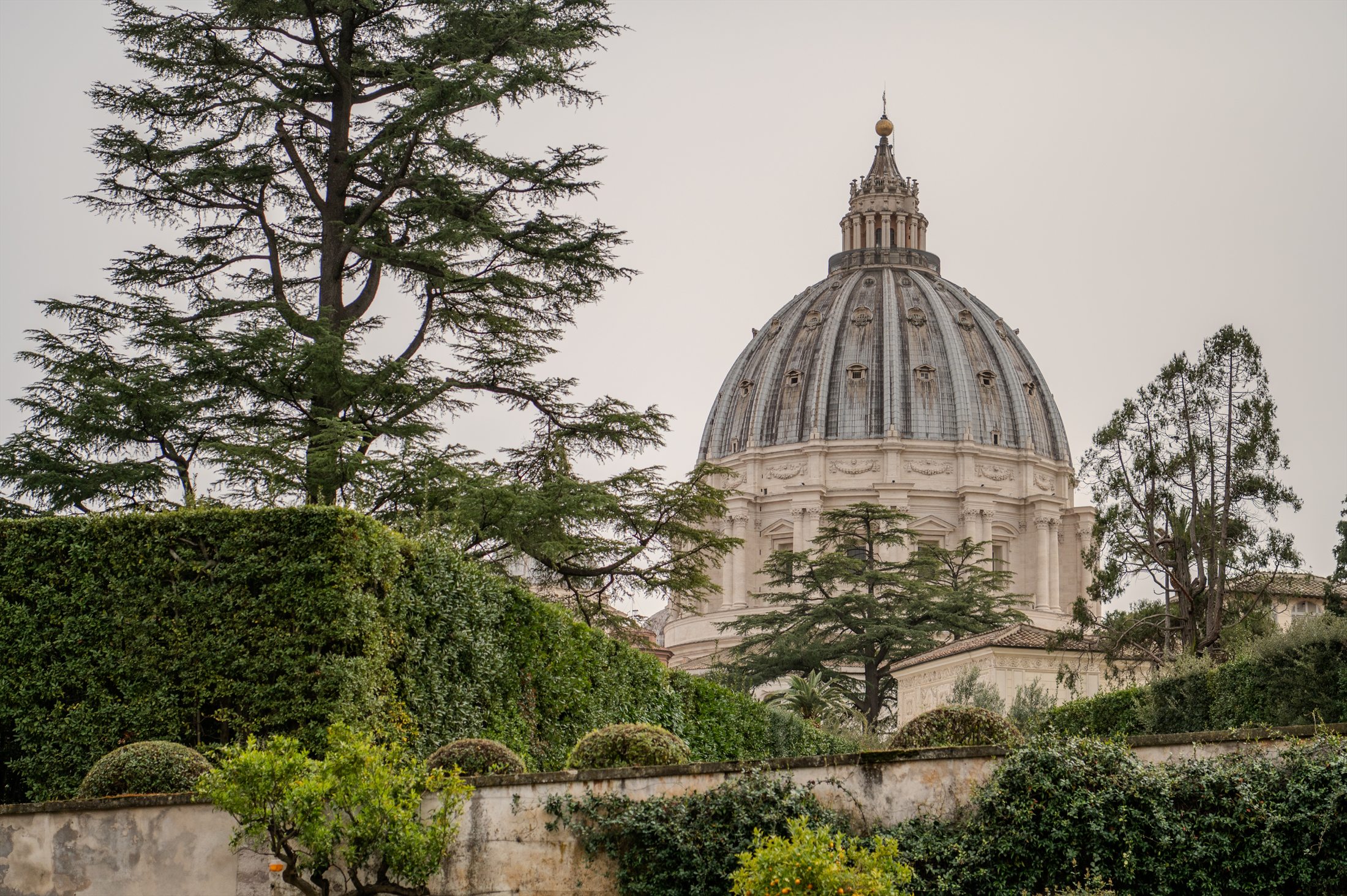 Rome photo 3