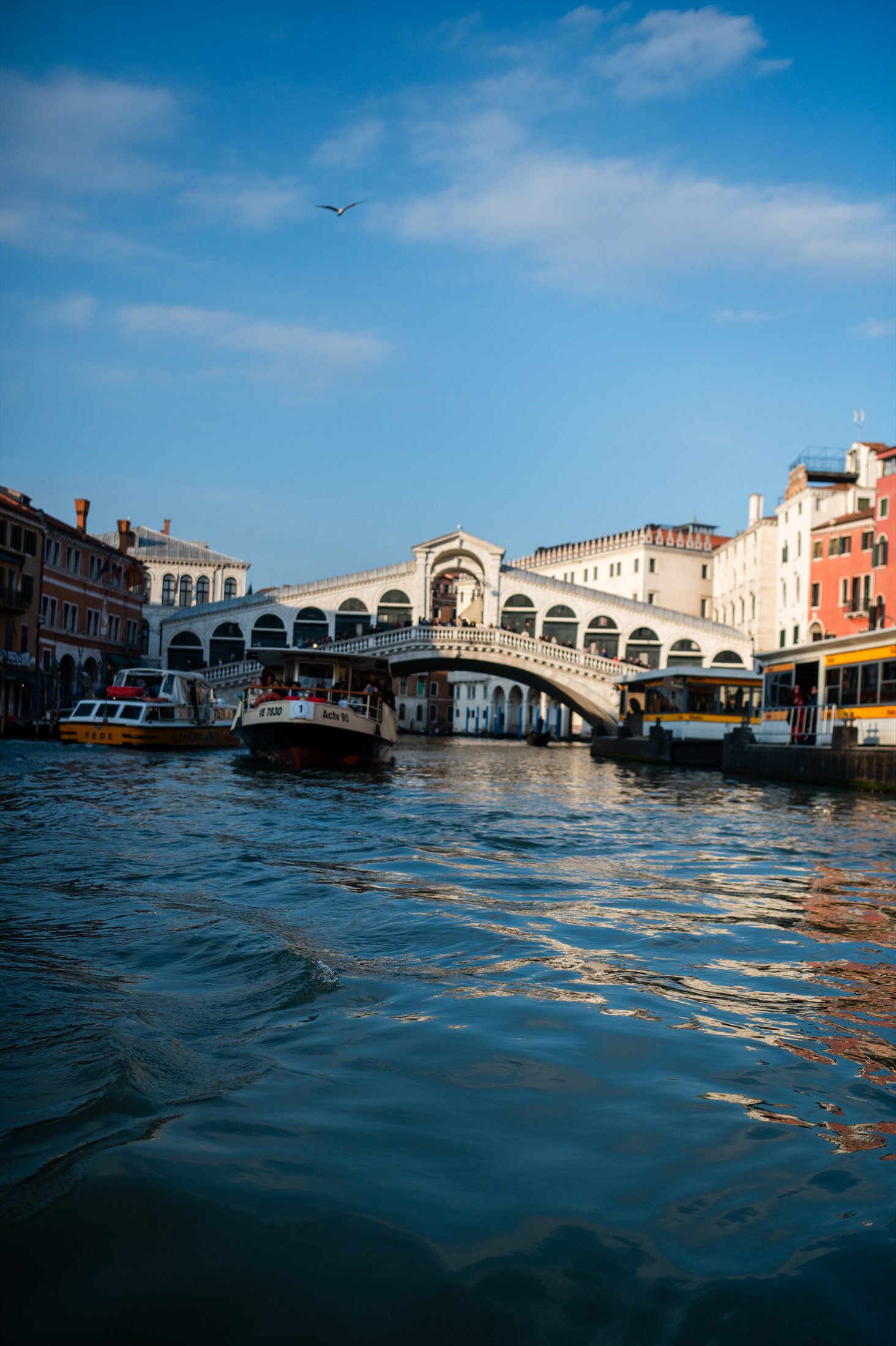 Venice photo 17