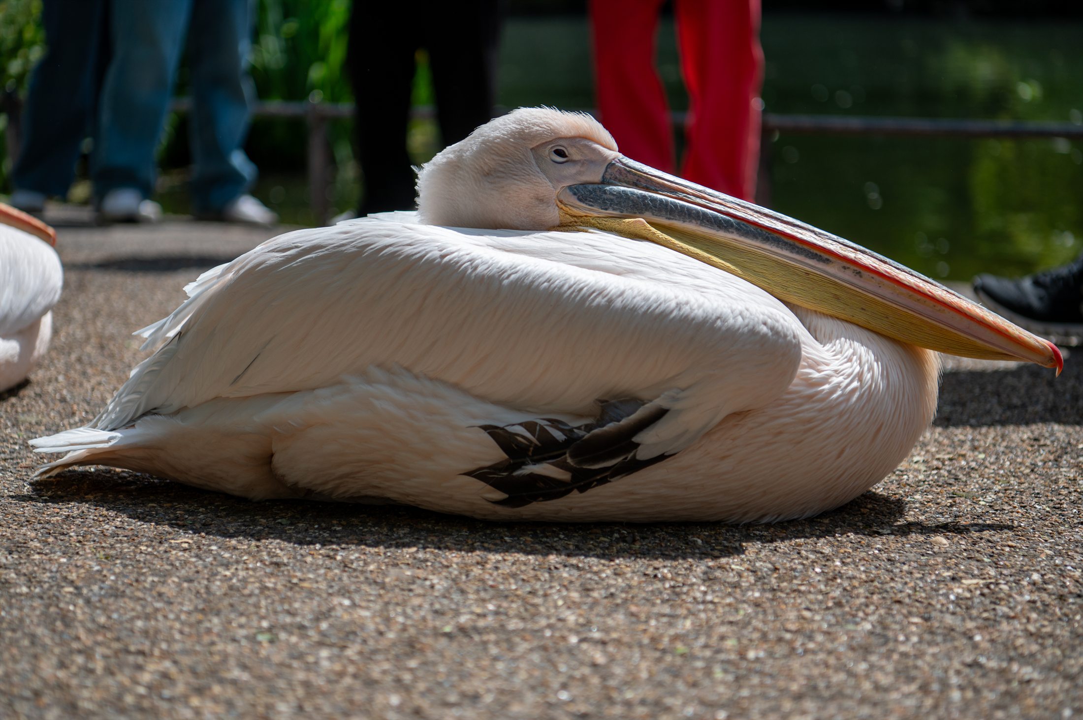London photo 12