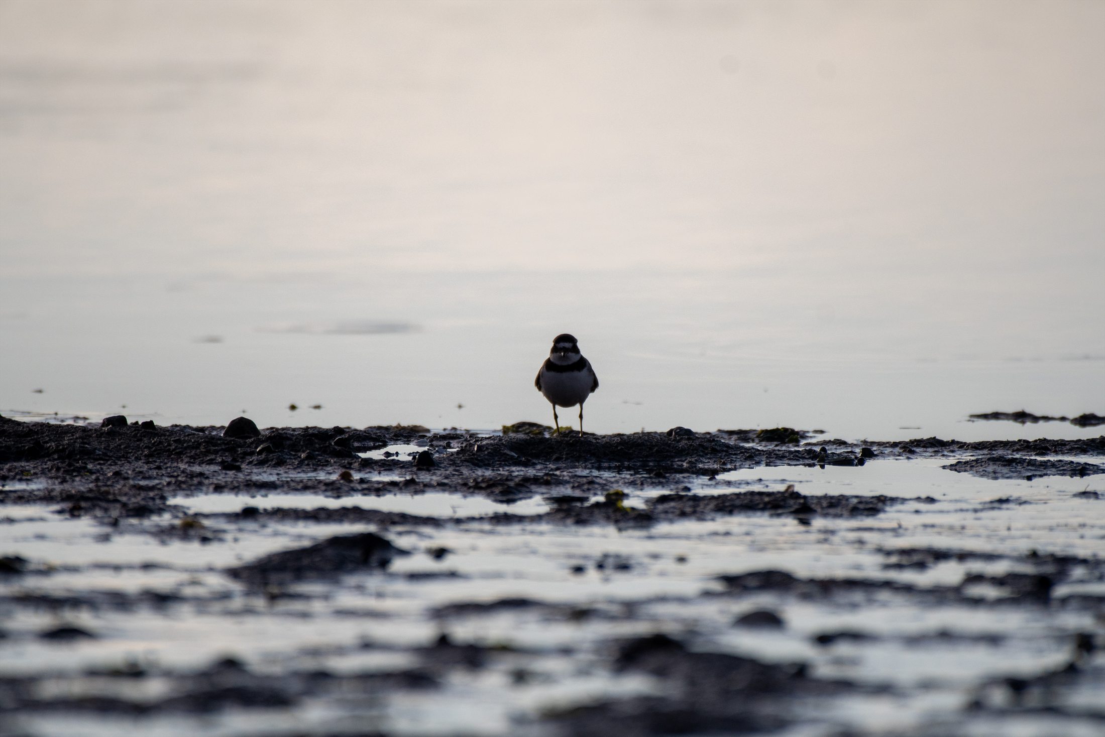 Kennebunkport photo 8