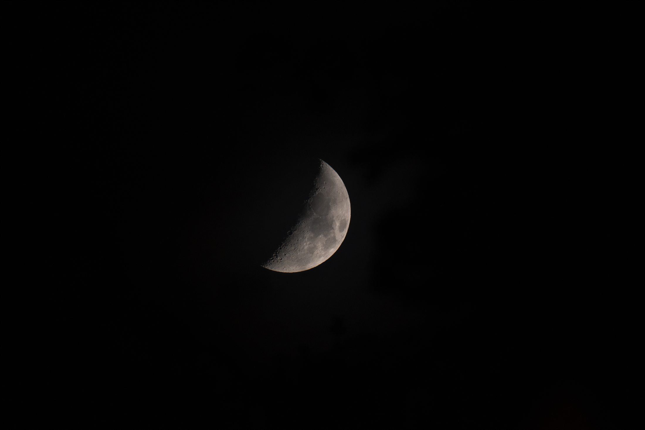 Miscellaneous photo 13