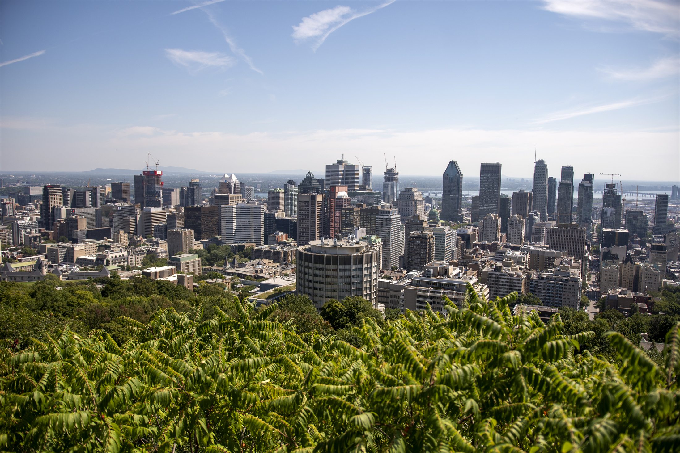 Montreal photo 17