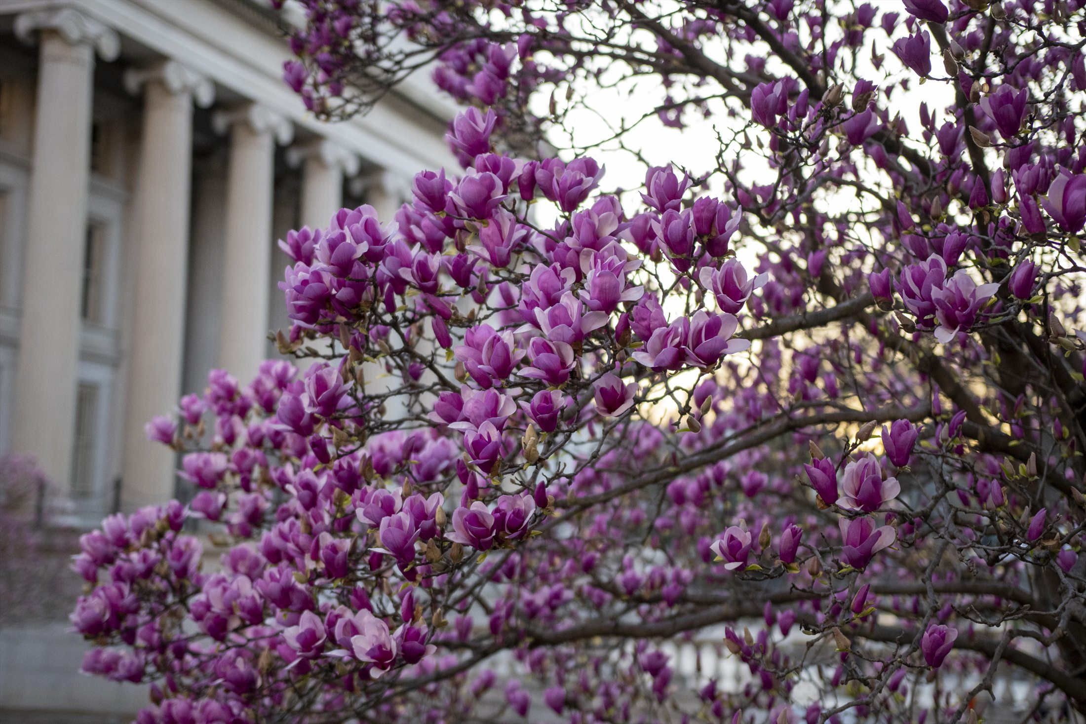 Washington, DC photo 5